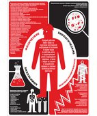 Плакат «Опасные и вредные производственные факторы» (841 х 594 мм) фото 1