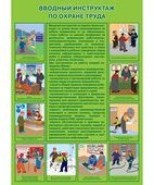 Плакат «Вводный инструктаж по охране труда» (594 х 420 мм) фото 1
